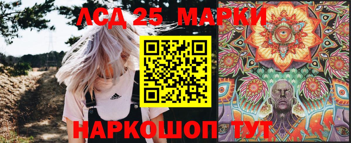 цена наркотик  Вход с VPN  Марки NBOMe 1,8мг  Котельники  Марки NBOMe 1,8мг 