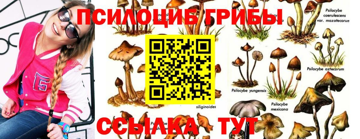 Котельники  Псилоцибиновые грибы MAGIC MUSHROOMS  Галлюциногенные грибы мухоморы  Вход с VPN 