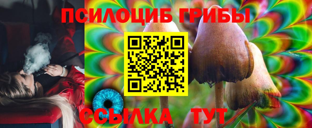 Галлюциногенные грибы прущие грибы Котельники